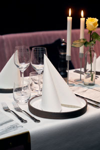 Dunilin® serviet 48 x 48 cm Hvid 36x6/krt