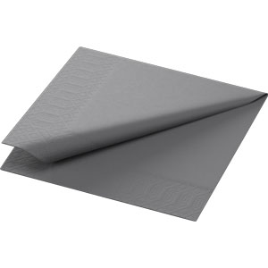 NAPKINS 2-PLY 24X24CM GRANITE GREY 300x8/krt